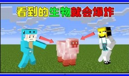 趣味生活爆料怎么做的视频